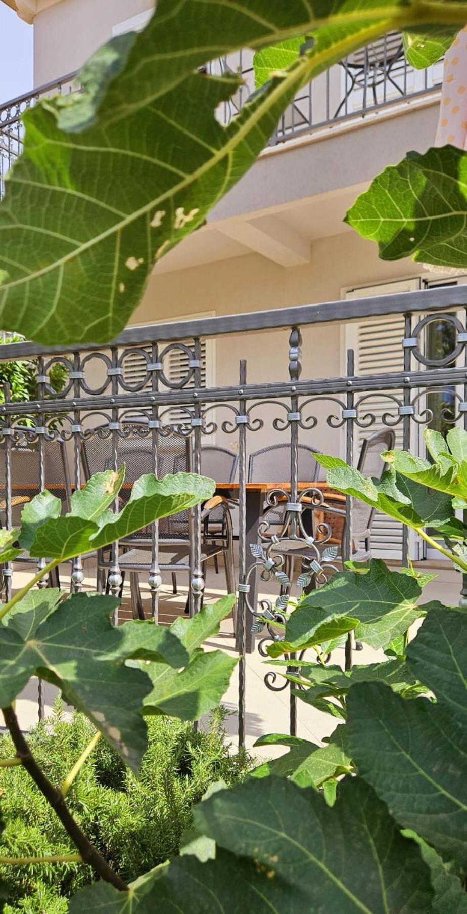 Villa Pepo Cavtat Extérieur photo